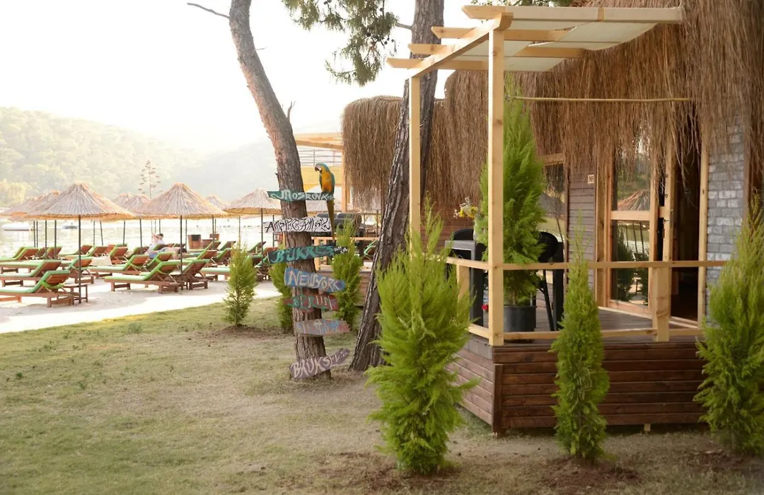 Green Pine Bungalows & Beach Luxury Concept-1