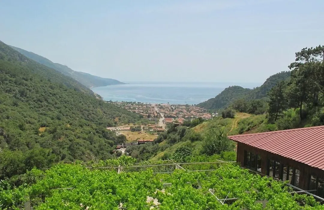 Manzara Hotel-1