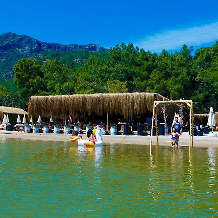 Green Pine Bungalows & Beach Luxury Concept-3