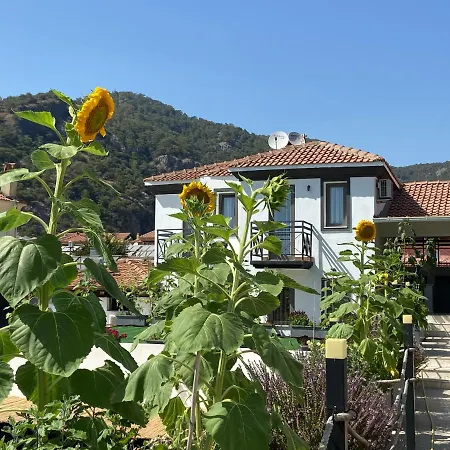 On Oda Oludeniz-3