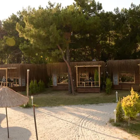Green Pine Bungalows & Beach Luxury Concept-2