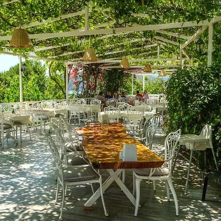 Seyir Beach Hotel-2