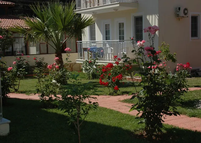 Tolay
