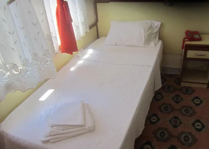 Red Rose Hotel